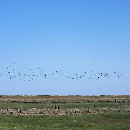 Ferienwohnung 'nieby' - Refugium Pottloch Ostsee * Kronsgaard
