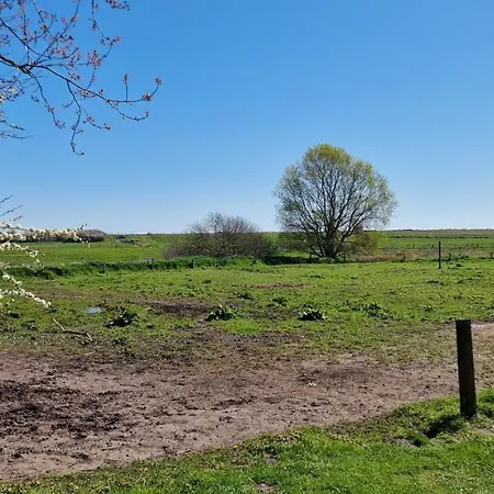 'nieby' - Refugium Pottloch Ostsee * Kronsgaard